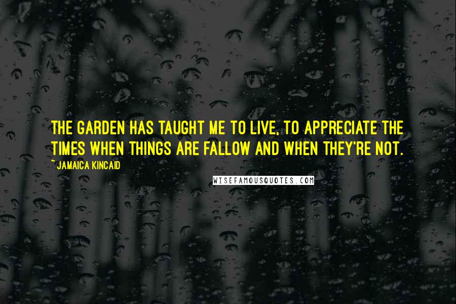 Jamaica Kincaid quotes: The garden has taught me to live, to appreciate the times when things are fallow and when they're not.