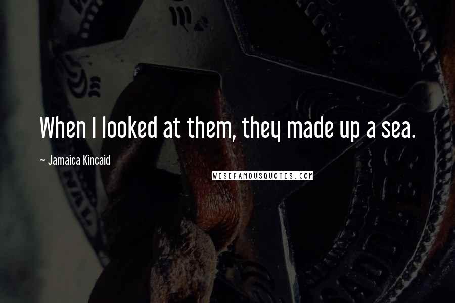 Jamaica Kincaid quotes: When I looked at them, they made up a sea.