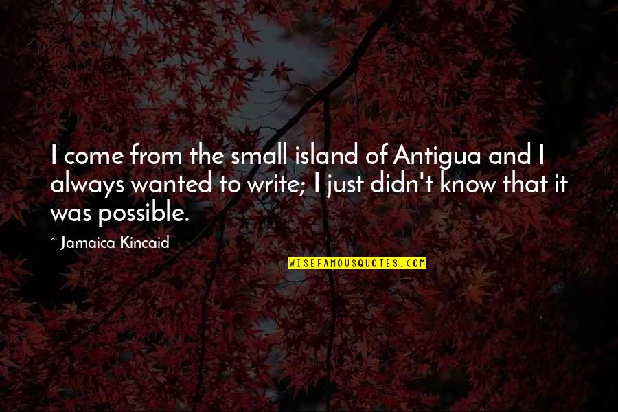 Jamaica Kincaid Quotes By Jamaica Kincaid: I come from the small island of Antigua