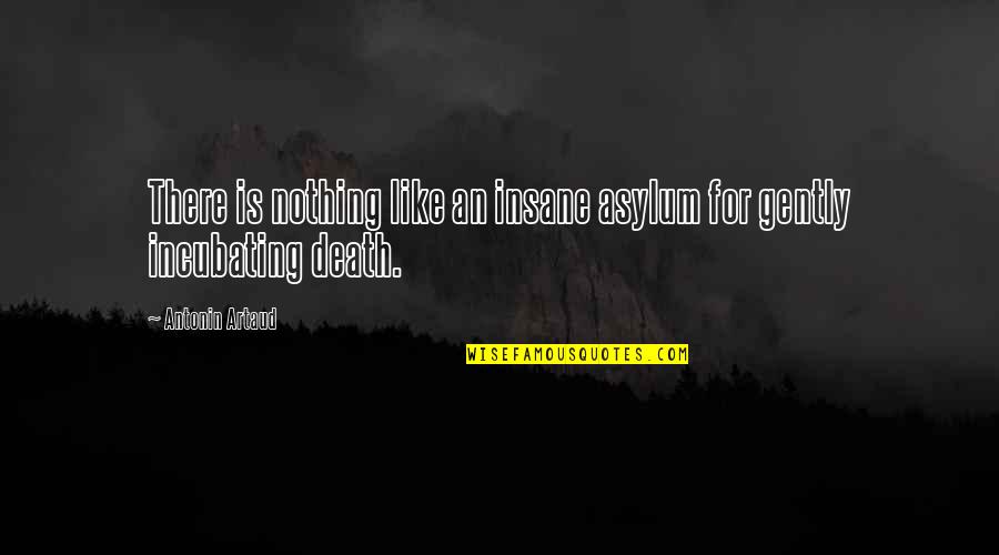 Jamara Toys Quotes By Antonin Artaud: There is nothing like an insane asylum for