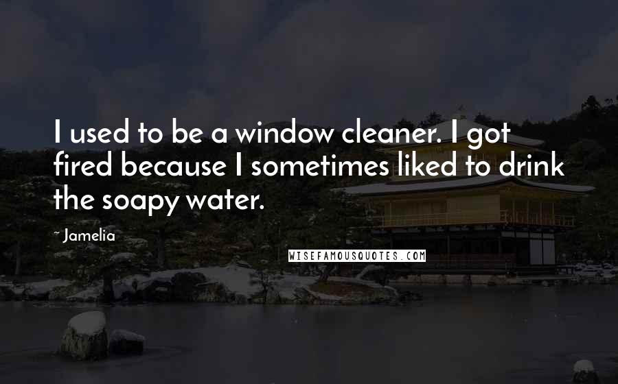 Jamelia quotes: I used to be a window cleaner. I got fired because I sometimes liked to drink the soapy water.