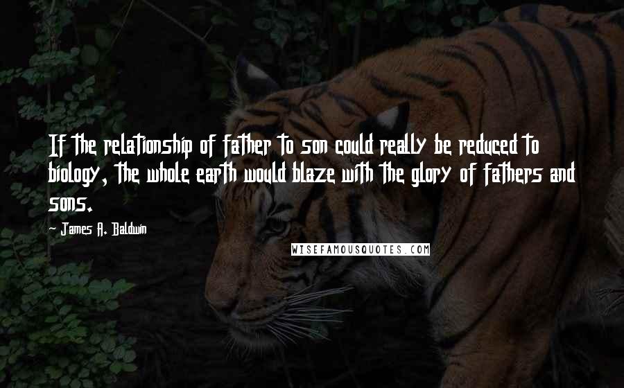 James A. Baldwin quotes: If the relationship of father to son could really be reduced to biology, the whole earth would blaze with the glory of fathers and sons.