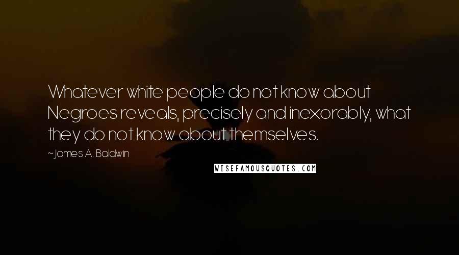 James A. Baldwin quotes: Whatever white people do not know about Negroes reveals, precisely and inexorably, what they do not know about themselves.