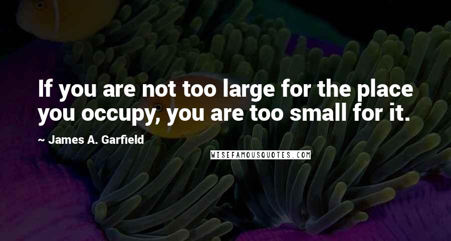 James A. Garfield quotes: If you are not too large for the place you occupy, you are too small for it.