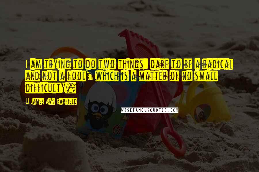 James A. Garfield quotes: I am trying to do two things: dare to be a radical and not a fool, which is a matter of no small difficulty.