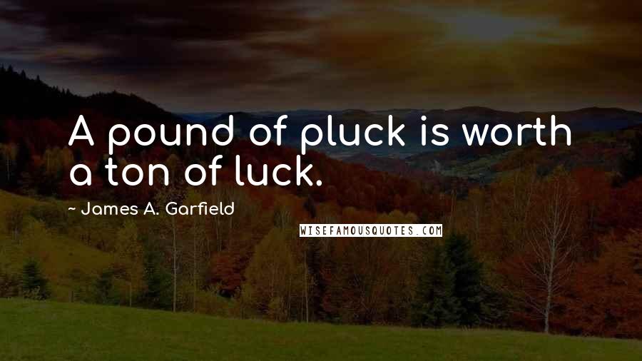 James A. Garfield quotes: A pound of pluck is worth a ton of luck.