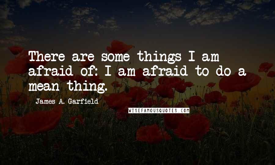 James A. Garfield quotes: There are some things I am afraid of: I am afraid to do a mean thing.