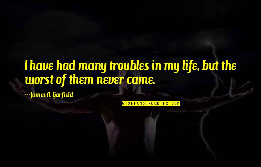 James A Garfield Quotes By James A. Garfield: I have had many troubles in my life,