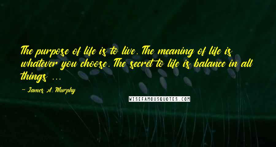 James A. Murphy quotes: The purpose of life is to live. The meaning of life is whatever you choose. The secret to life is balance in all things ...
