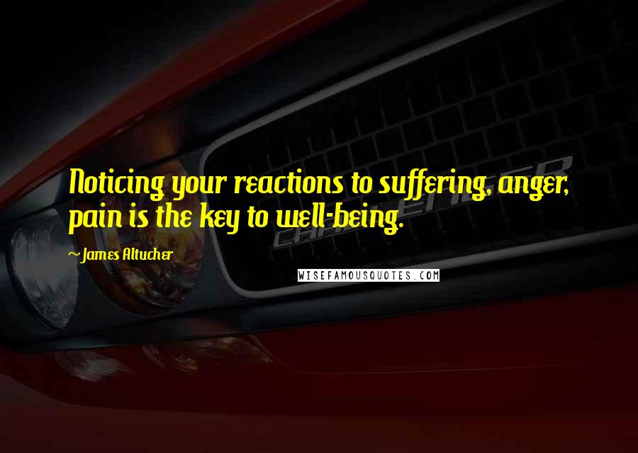 James Altucher quotes: Noticing your reactions to suffering, anger, pain is the key to well-being.