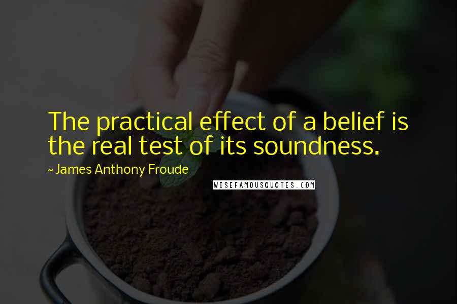 James Anthony Froude quotes: The practical effect of a belief is the real test of its soundness.