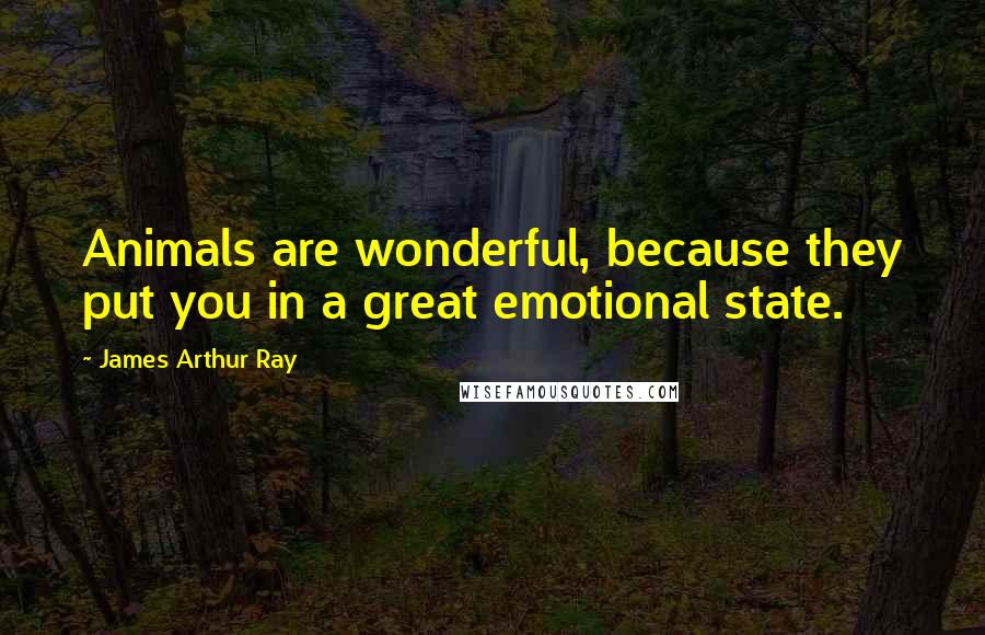 James Arthur Ray quotes: Animals are wonderful, because they put you in a great emotional state.