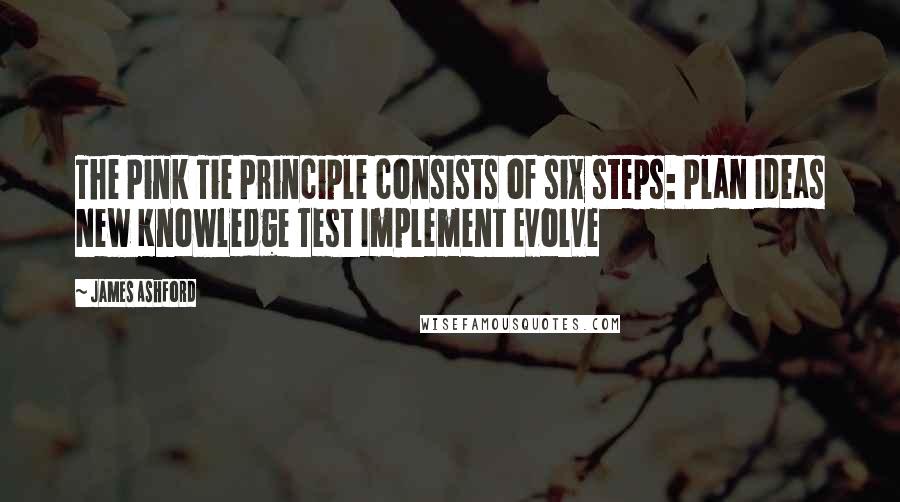 James Ashford quotes: The Pink Tie Principle consists of six steps: Plan Ideas New Knowledge Test Implement Evolve