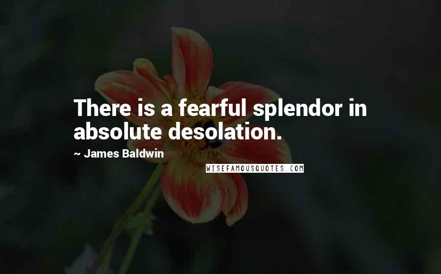 James Baldwin quotes: There is a fearful splendor in absolute desolation.