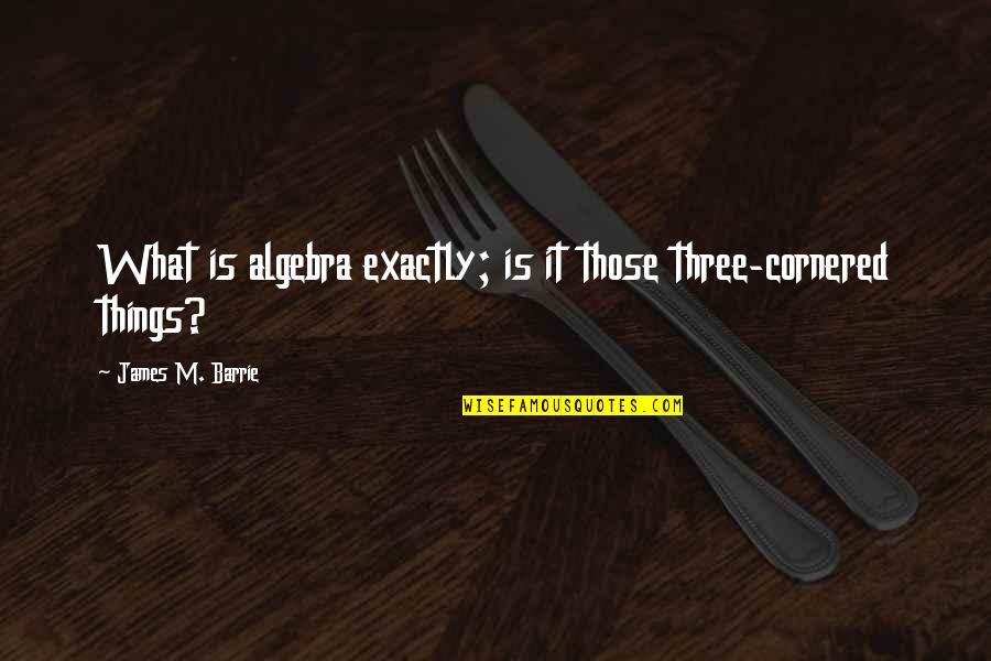 James Barrie Quotes By James M. Barrie: What is algebra exactly; is it those three-cornered James Barrie Quotes By James M. Barrie: What is algebra exactly; is it those three-cornered