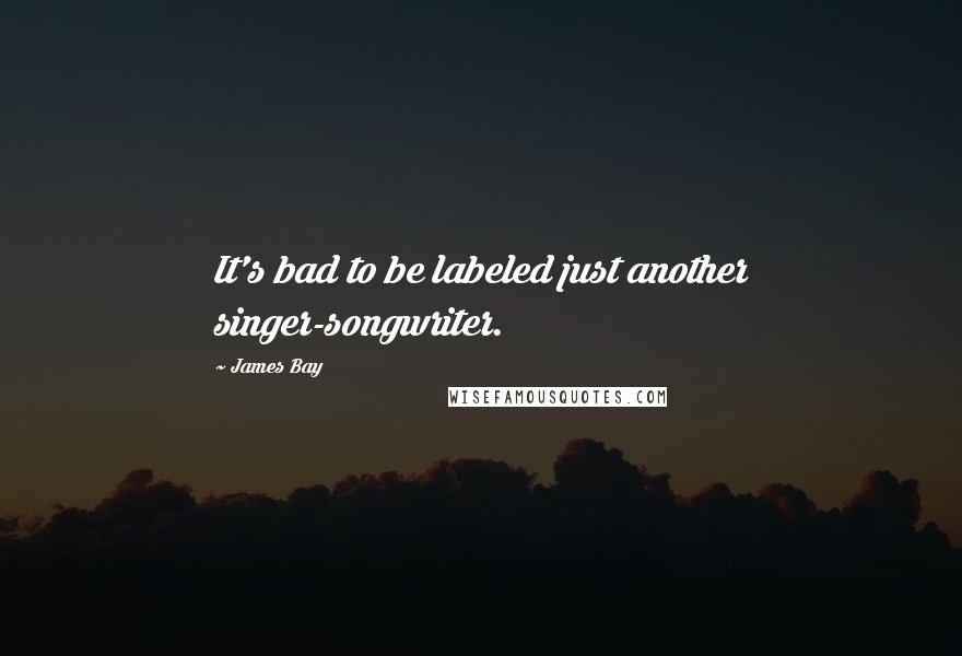 James Bay quotes: It's bad to be labeled just another singer-songwriter.