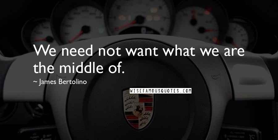 James Bertolino quotes: We need not want what we are the middle of.