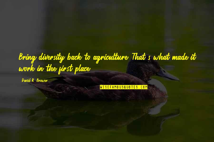 James Billington Quotes By David R. Brower: Bring diversity back to agriculture. That's what made