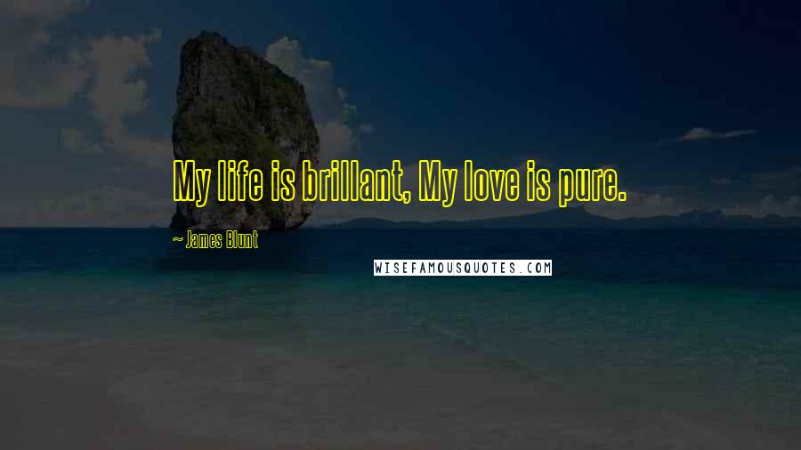 James Blunt quotes: My life is brillant, My love is pure.