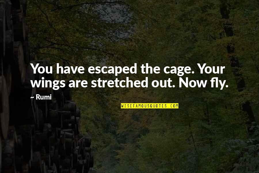 James Brian Hellwig Quotes By Rumi: You have escaped the cage. Your wings are
