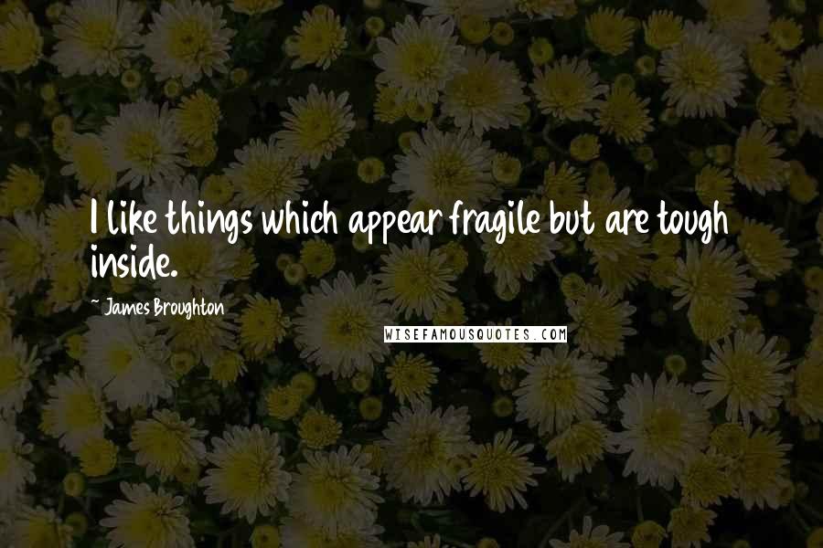 James Broughton quotes: I like things which appear fragile but are tough inside.