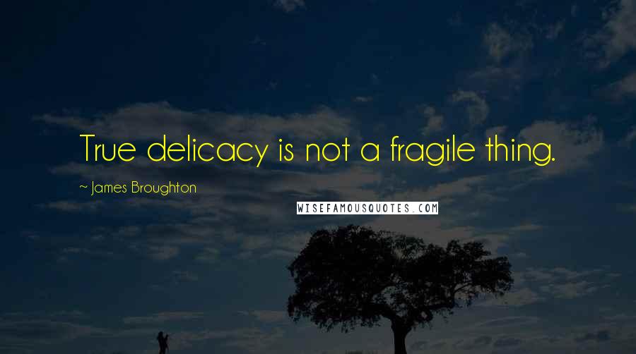 James Broughton quotes: True delicacy is not a fragile thing.