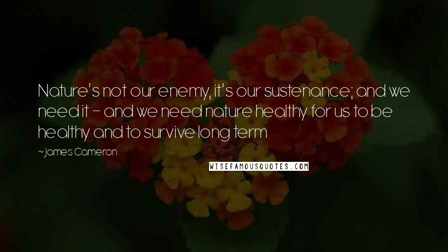 James Cameron quotes: Nature's not our enemy, it's our sustenance; and we need it - and we need nature healthy for us to be healthy and to survive long term