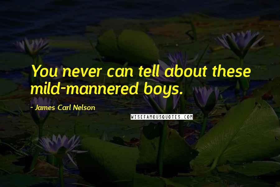 James Carl Nelson quotes: You never can tell about these mild-mannered boys.