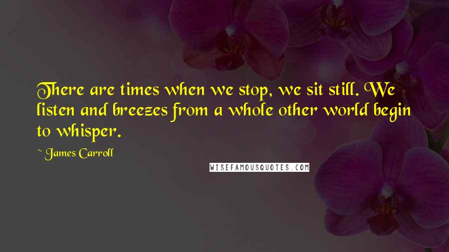 James Carroll quotes: There are times when we stop, we sit still. We listen and breezes from a whole other world begin to whisper.