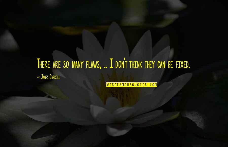 James Carroll Quotes By James Carroll: There are so many flaws, .. I don't