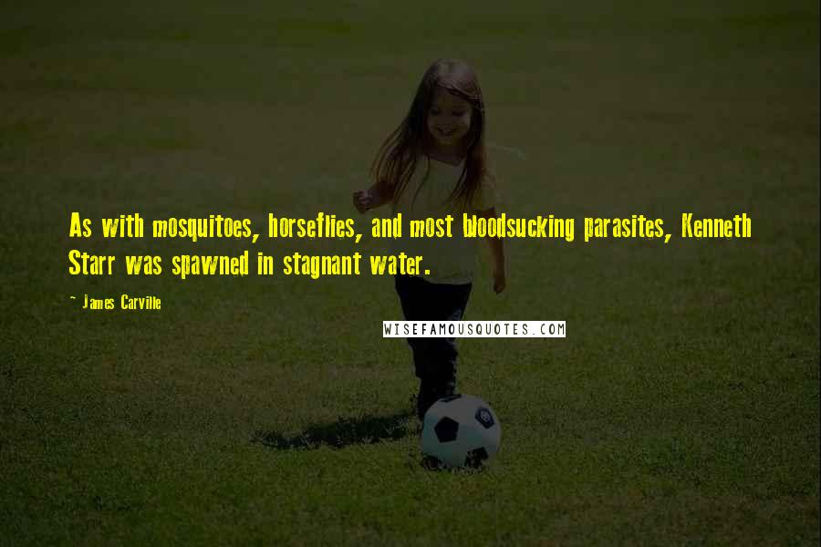 James Carville quotes: As with mosquitoes, horseflies, and most bloodsucking parasites, Kenneth Starr was spawned in stagnant water. James Carville quotes: As with mosquitoes, horseflies, and most bloodsucking parasites, Kenneth Starr was spawned in stagnant water.