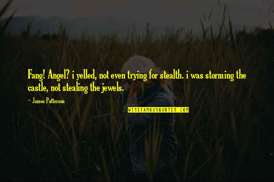 James Castle Quotes By James Patterson: Fang! Angel? i yelled, not even trying for
