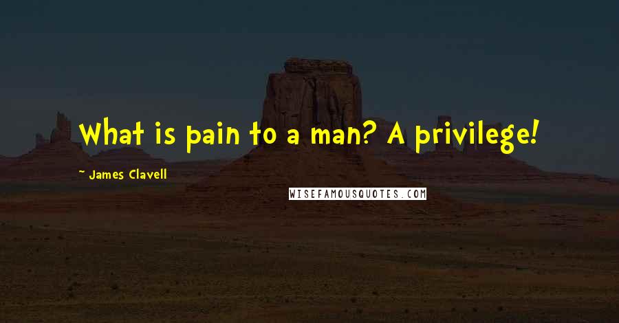 James Clavell quotes: What is pain to a man? A privilege!