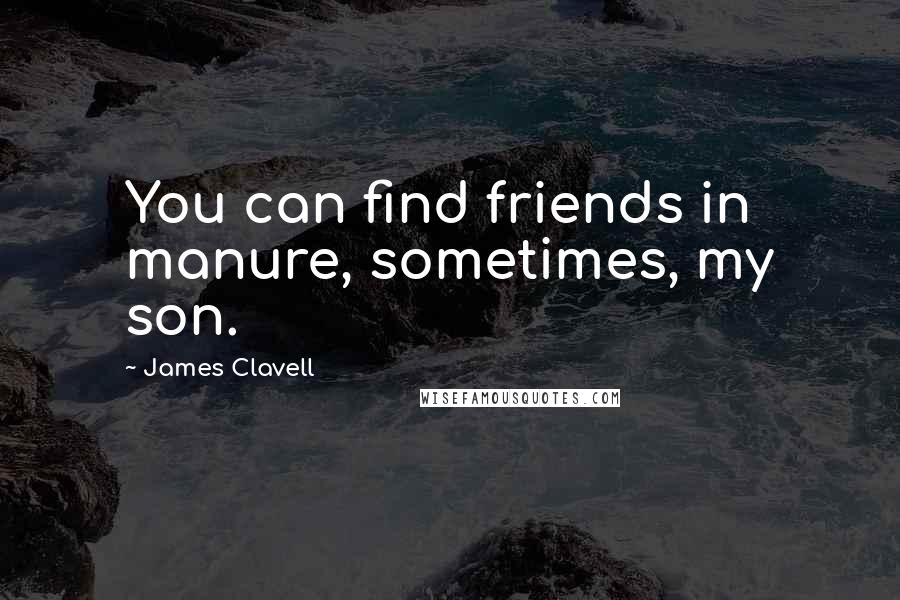 James Clavell quotes: You can find friends in manure, sometimes, my son.