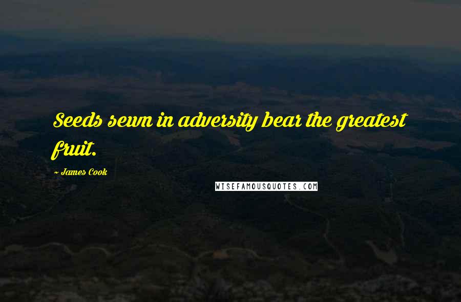 James Cook quotes: Seeds sewn in adversity bear the greatest fruit.