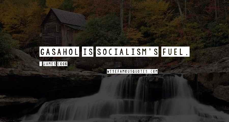 James Cook quotes: Gasahol is socialism's fuel.