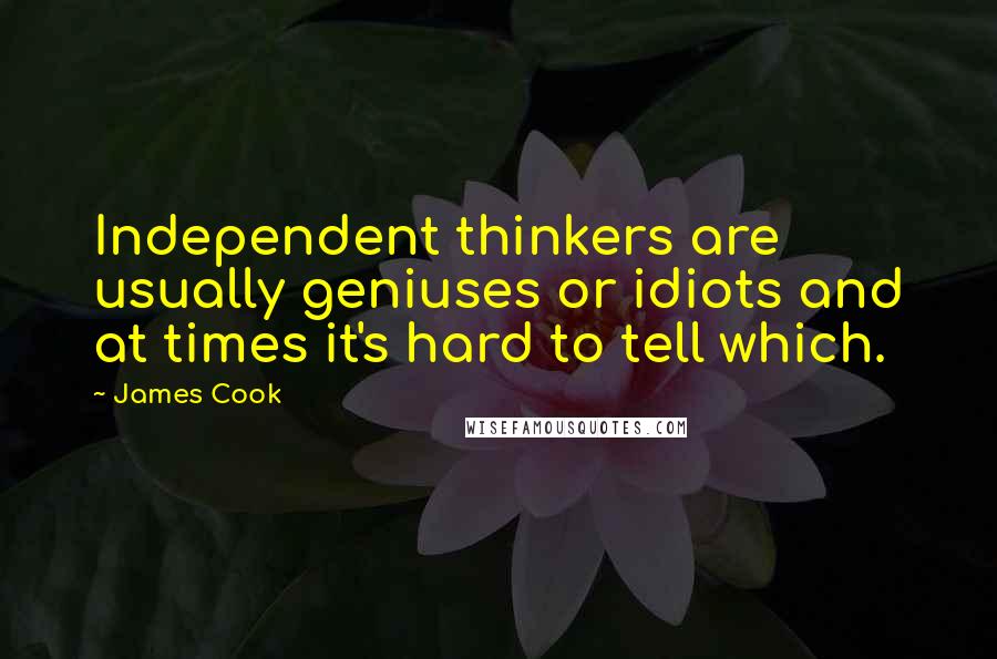 James Cook quotes: Independent thinkers are usually geniuses or idiots and at times it's hard to tell which.