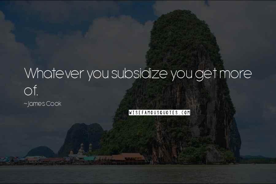 James Cook quotes: Whatever you subsidize you get more of.