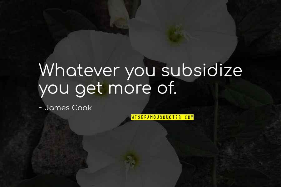 James Cook's Quotes By James Cook: Whatever you subsidize you get more of. James Cook's Quotes By James Cook: Whatever you subsidize you get more of.