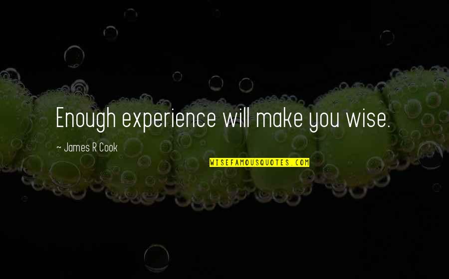 James Cook's Quotes By James R Cook: Enough experience will make you wise.