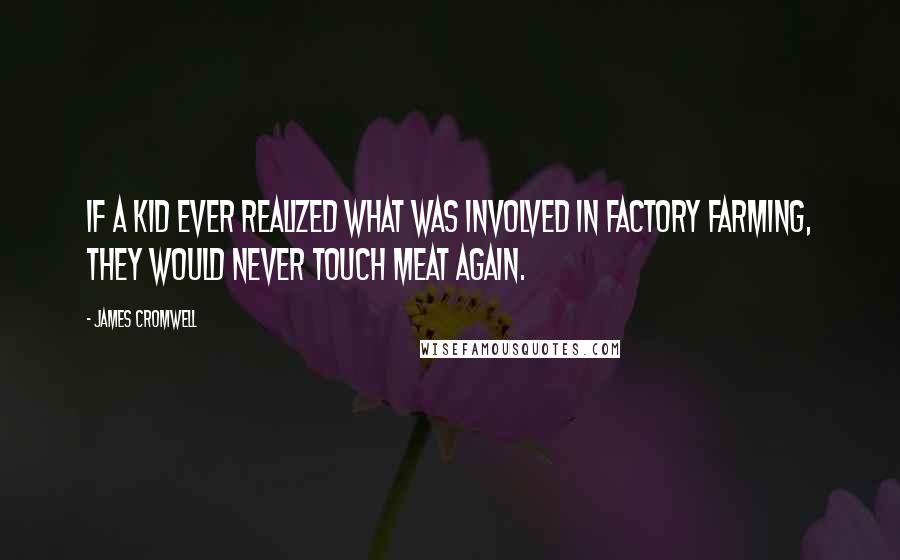 James Cromwell quotes: If a kid ever realized what was involved in factory farming, they would never touch meat again.