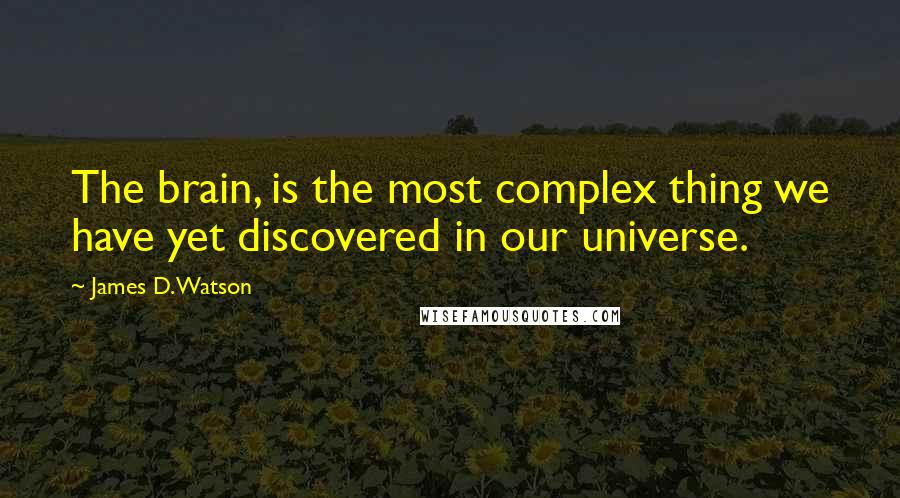 James D. Watson quotes: The brain, is the most complex thing we have yet discovered in our universe.
