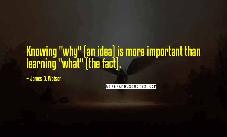 James D. Watson quotes: Knowing "why" (an idea) is more important than learning "what" (the fact).