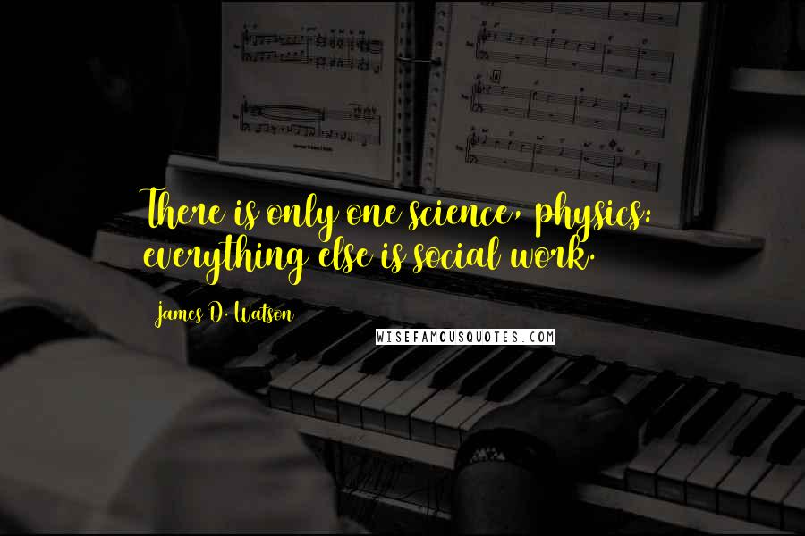 James D. Watson quotes: There is only one science, physics: everything else is social work.