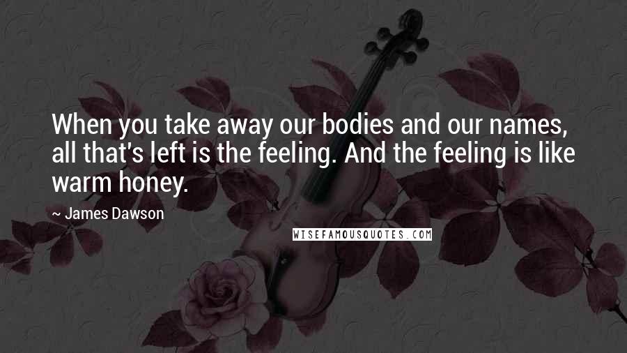 James Dawson quotes: When you take away our bodies and our names, all that's left is the feeling. And the feeling is like warm honey.