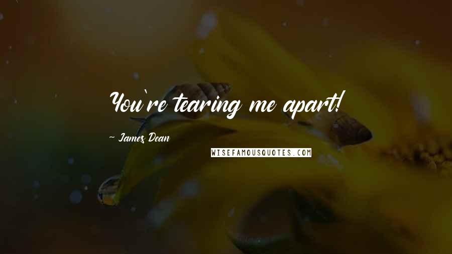 James Dean quotes: You're tearing me apart!