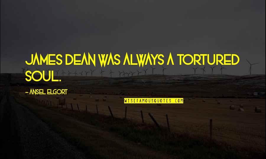 James Dean Quotes By Ansel Elgort: James Dean was always a tortured soul. James Dean Quotes By Ansel Elgort: James Dean was always a tortured soul.