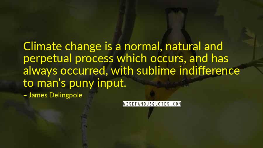 James Delingpole quotes: Climate change is a normal, natural and perpetual process which occurs, and has always occurred, with sublime indifference to man's puny input.