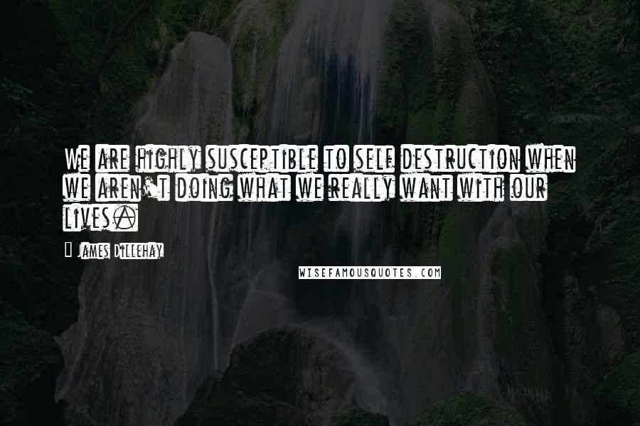 James Dillehay quotes: We are highly susceptible to self destruction when we aren't doing what we really want with our lives.