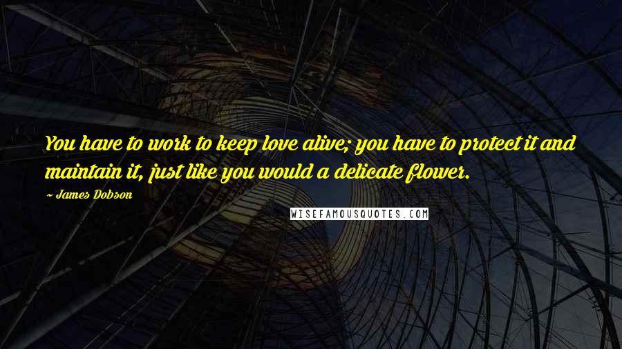 James Dobson quotes: You have to work to keep love alive; you have to protect it and maintain it, just like you would a delicate flower.